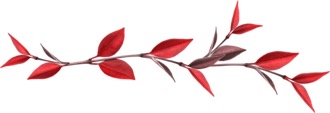 barre feuilles rouges